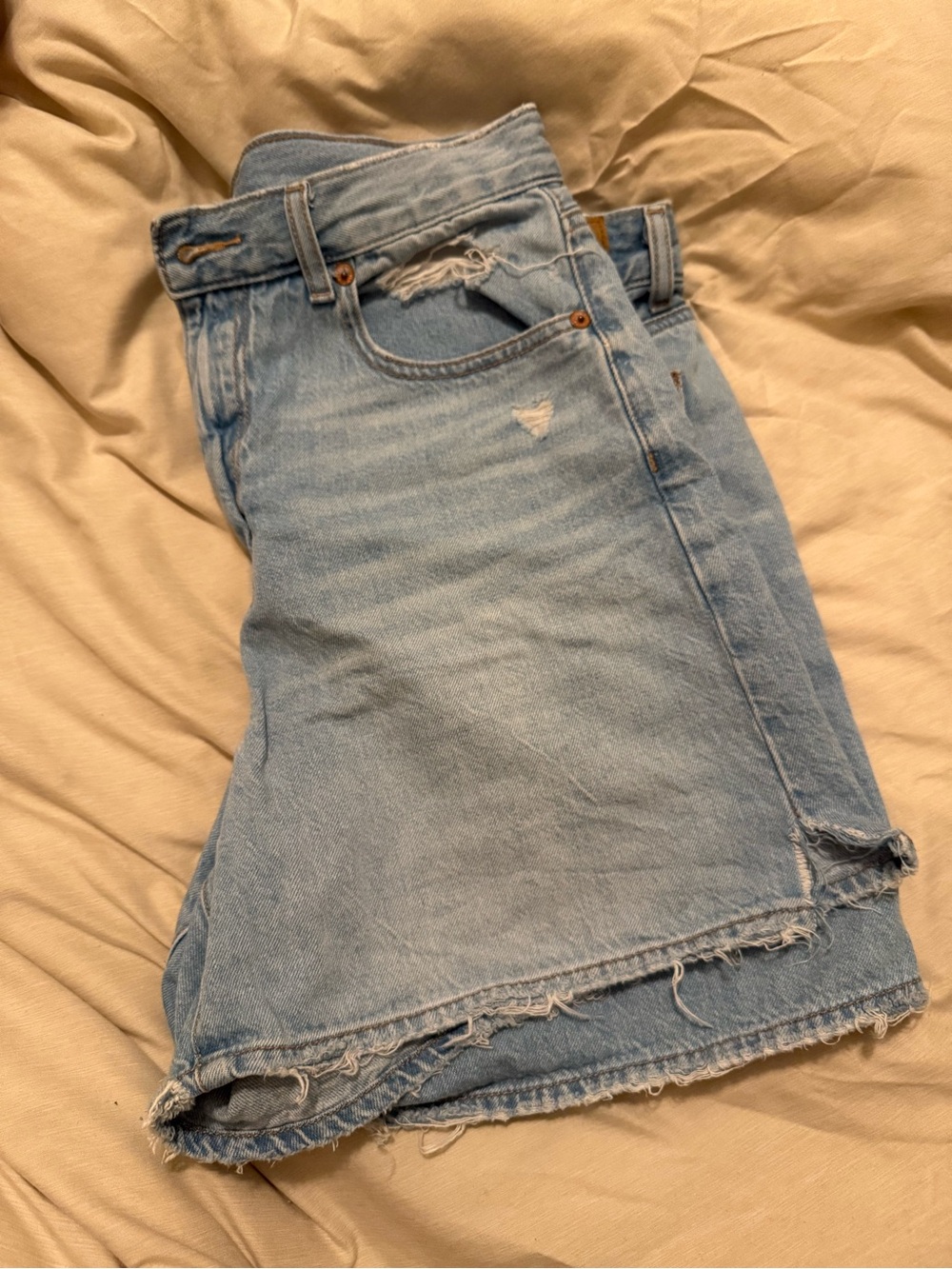 American Eagle Outfitters Light Blue Distressed Denim Shorts